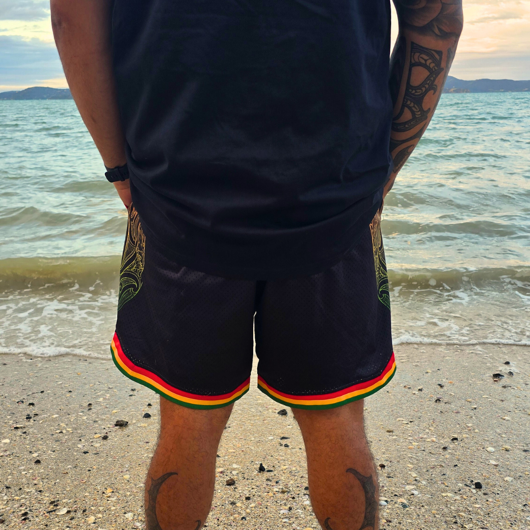 Summit Shorts (Rasta)